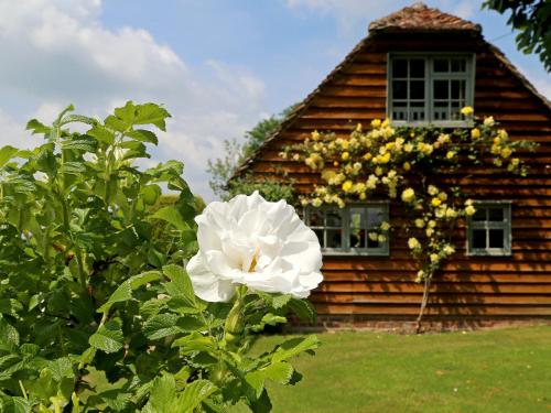 a white flower in front of a wooden house at Prospect Cottage in Wittersham