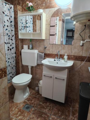 a bathroom with a toilet and a sink and a mirror at Horváth kuckó in Fonyód