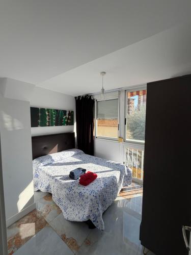 Second-line Beach Apartment - Tucan de Sal