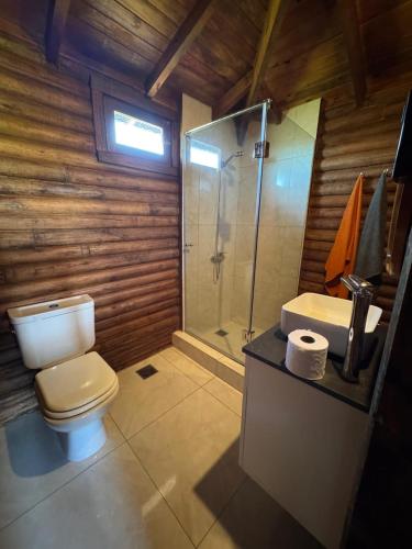 a bathroom with a toilet and a shower and a sink at Cabañas - Raíces de la Sierra in Balcarce