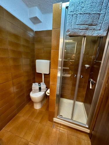 a bathroom with a toilet and a glass shower at Montecampione Prati B in Pian Camuno
