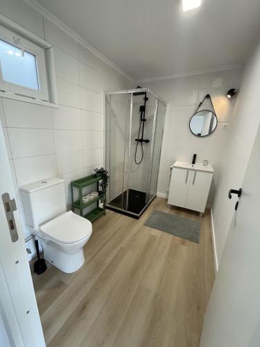 a bathroom with a toilet and a shower at The Lemon Tree Villa in Charneca