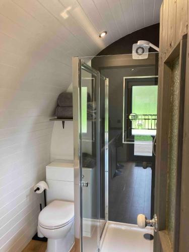 a small bathroom with a toilet and a shower at Glamping pod with en-suite & underfloor heating in Haverfordwest