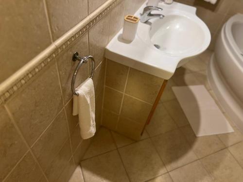 a bathroom with a sink and a toilet at Johanna Apartman in Harkány
