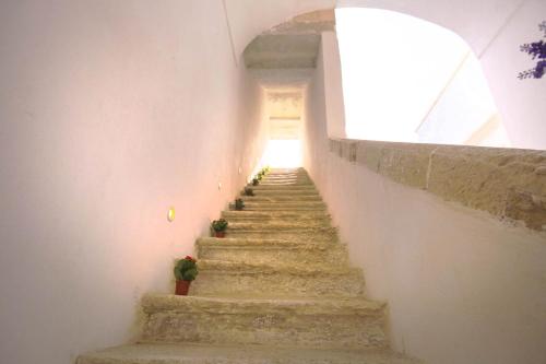 a stairway with some plants on the side of a wall at Il Borgo in Poggiardo