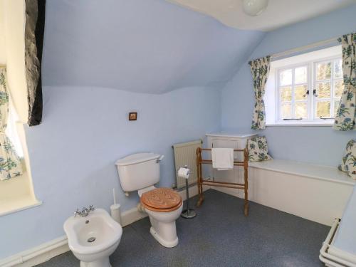 a blue bathroom with a toilet and a tub and a sink at Plush Cottage in Dorchester