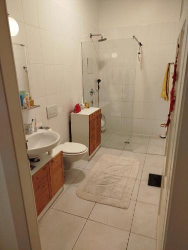 Spacious unique 150m2 apartment Geneva city center