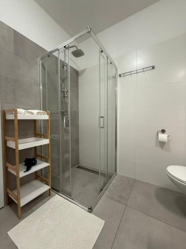 a bathroom with a shower and a toilet and a sink at Pipanova Cosy Nest with Balcony & Free Parking in Ljubljana