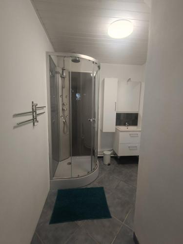 a bathroom with a shower with a green rug at Gîte du Trempal in Audruicq