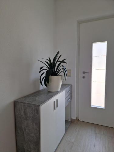 a plant sitting on top of a cabinet in a room at Apartment Stark in Merkendorf