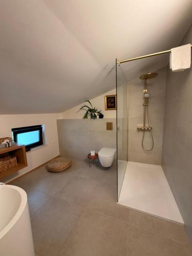 a bathroom with a shower stall and a toilet at Apartments Pri nas in Kobarid