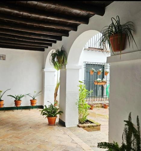 Mezquita Judería Córdoba