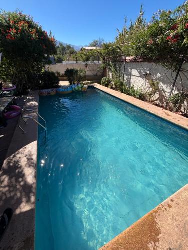 a swimming pool with blue water in a yard at Alojamiento La Rosa in Combarbalá