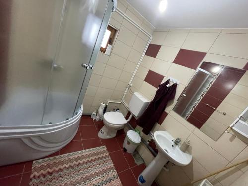 a bathroom with a shower and a toilet and a sink at Cabana SVA Bilbor in Bilbor