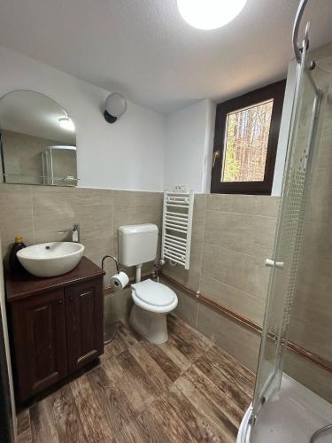 a bathroom with a toilet and a sink and a shower at Cabana Cremenea in Merişor