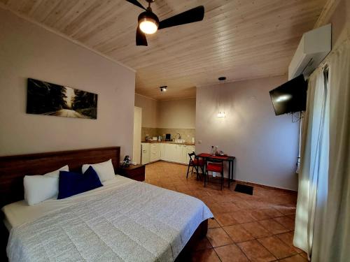 Dalia's House