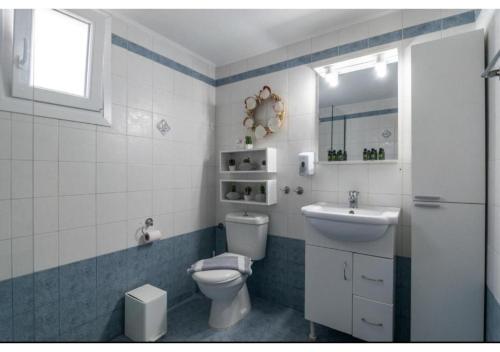 a bathroom with a toilet and a sink at Stella's Mandrakia Seaside House in Mandrakia