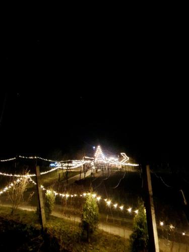 a bunch of lights on a fence at night at Căsuța de pe Vale in Sighetu Marmaţiei
