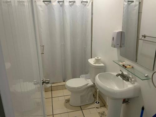 a bathroom with a shower and a toilet and a sink at Cozy 2BR Cabin for 5 with Pool in Cabo Rojo