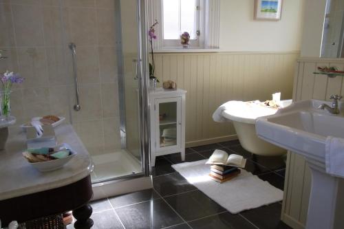 a bathroom with a shower and a toilet and a sink at Inchiquin House in Corrofin