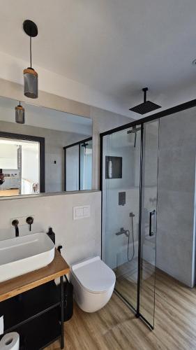 a bathroom with a toilet and a sink and a shower at Bran Villa - A-frame Orchard Hygge in Bran