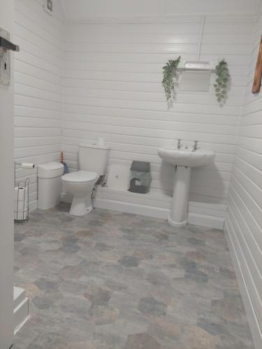 a bathroom with a toilet and a sink at Royal Oak Rooms in Exeter
