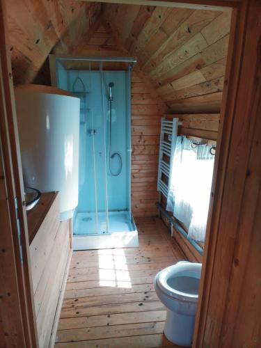 a bathroom with a shower and a toilet at kota en Normandie in Couvains