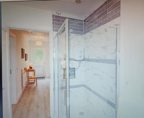 a bathroom with a shower and a glass door at Countryside bliss in Clonakilty