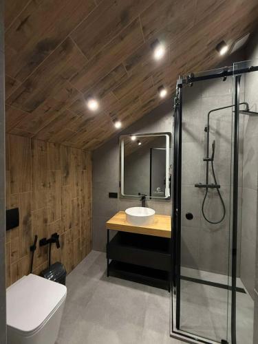 a bathroom with a sink and a shower and a toilet at GoldHill villas 9 in Yaremche