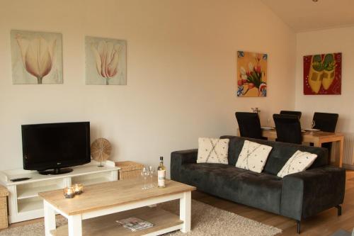 a living room with a couch and a tv at Tulpenzicht in Zilk