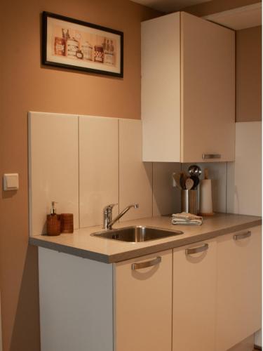 a kitchen with white cabinets and a sink at Tulpenzicht in Zilk