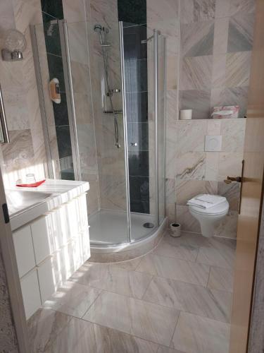a bathroom with a shower and a toilet at Pension Reichel in Freiberg