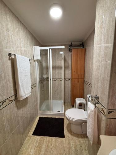 a bathroom with a shower and a toilet and a sink at Ponte da Illa in Isla de Arosa