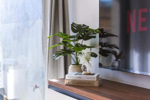 a plant sitting on a shelf next to a mirror at Luxury Parkside Living Near The 3 Cities in Malta in Tal-Ħamra