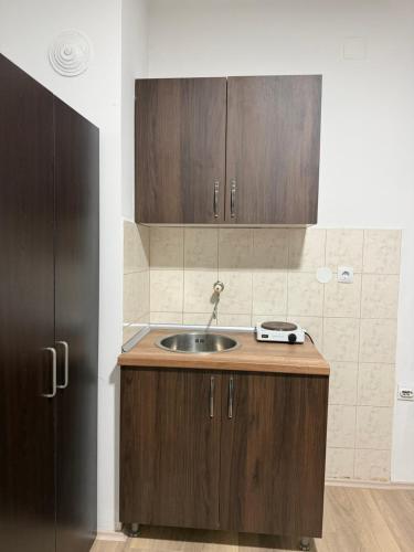 a kitchen with a sink and wooden cabinets at Villa Fantasy Premium Lakeview in Ohrid