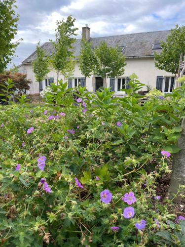 a garden with purple flowers in front of a house at A la terre ferme in Arnac-la-Poste