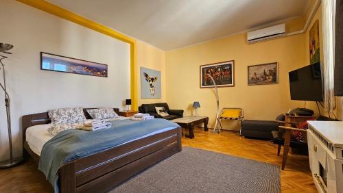 Et tv og/eller underholdning på Great Buda Apartman