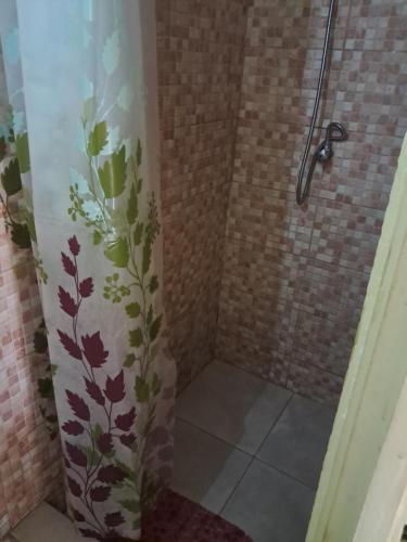a shower with a shower curtain in a bathroom at Hostel Archimedes in Paramaribo