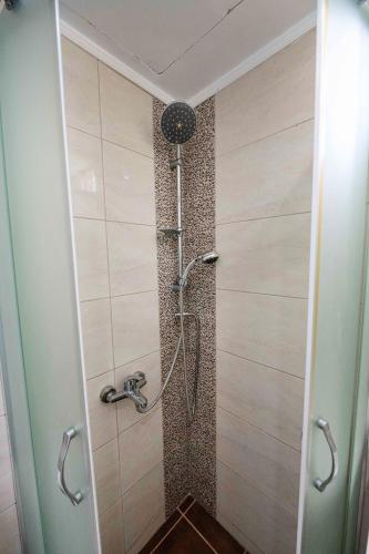 a shower in a bathroom with a glass door at Rania Bella Vista Studios in Poros