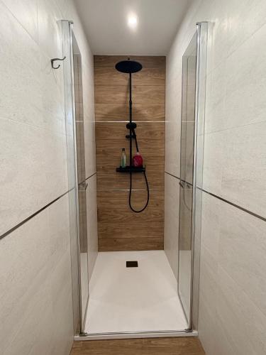 a shower with a glass door in a bathroom at Central Suites Silgar Sanxenxo in Sanxenxo