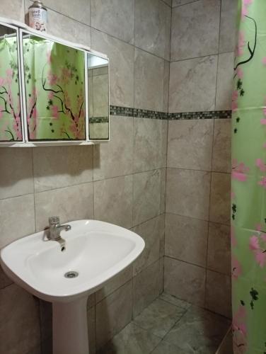 a bathroom with a sink and a mirror at Celina in Chajarí