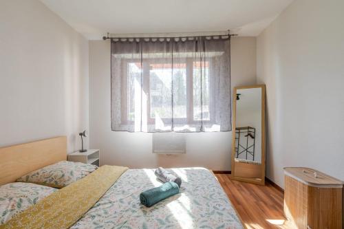 a bedroom with a bed and a mirror and a window at Appartement cosy à Strasbourg in Strasbourg
