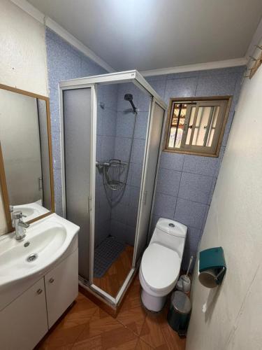 a bathroom with a shower and a toilet and a sink at Cabañas costa rio imperial in Quillén