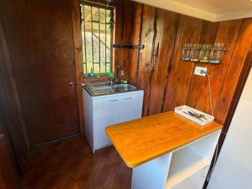 a kitchen with a sink and a wooden wall at Cabañas costa rio imperial in Quillén