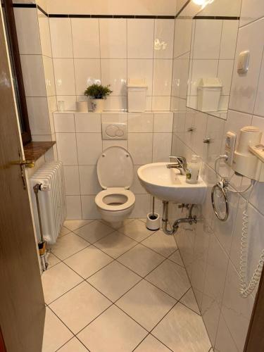 a bathroom with a toilet and a sink at Hotel Zunftstube in Saarburg