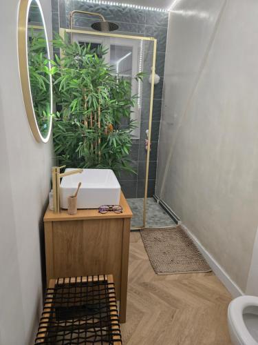 a bathroom with a sink and a mirror at La Hacienda Verde in Heudreville-sur-Eure
