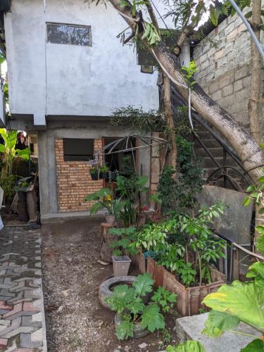 a garden with plants in front of a building at Stay in flying in Katunayaka