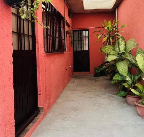 ein rotes Gebäude mit einer schwarzen Tür und einigen Pflanzen in der Unterkunft Casa Mayaka in La Paz