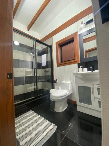 a bathroom with a toilet and a glass shower at Refugio Matteo&Colo Sur de Chile in Panguipulli