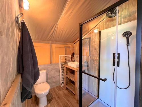 a bathroom with a shower and a toilet and a sink at De Mier in Hulshorst